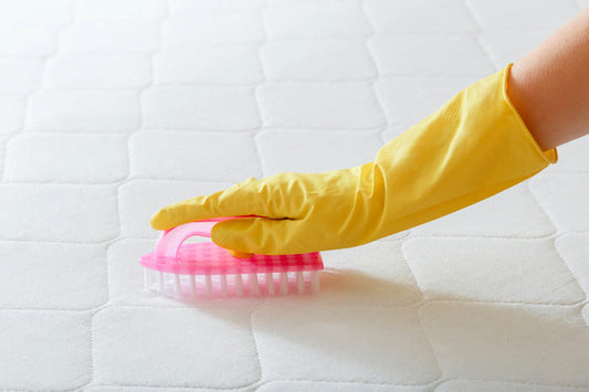 brushing mattress topper