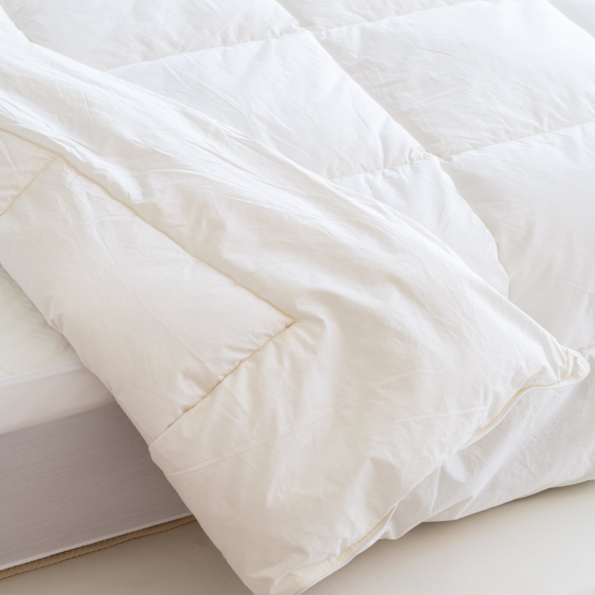 Minocasa SeasonBreeze Luxe Zoomed in Box Stitching Durable Comforter